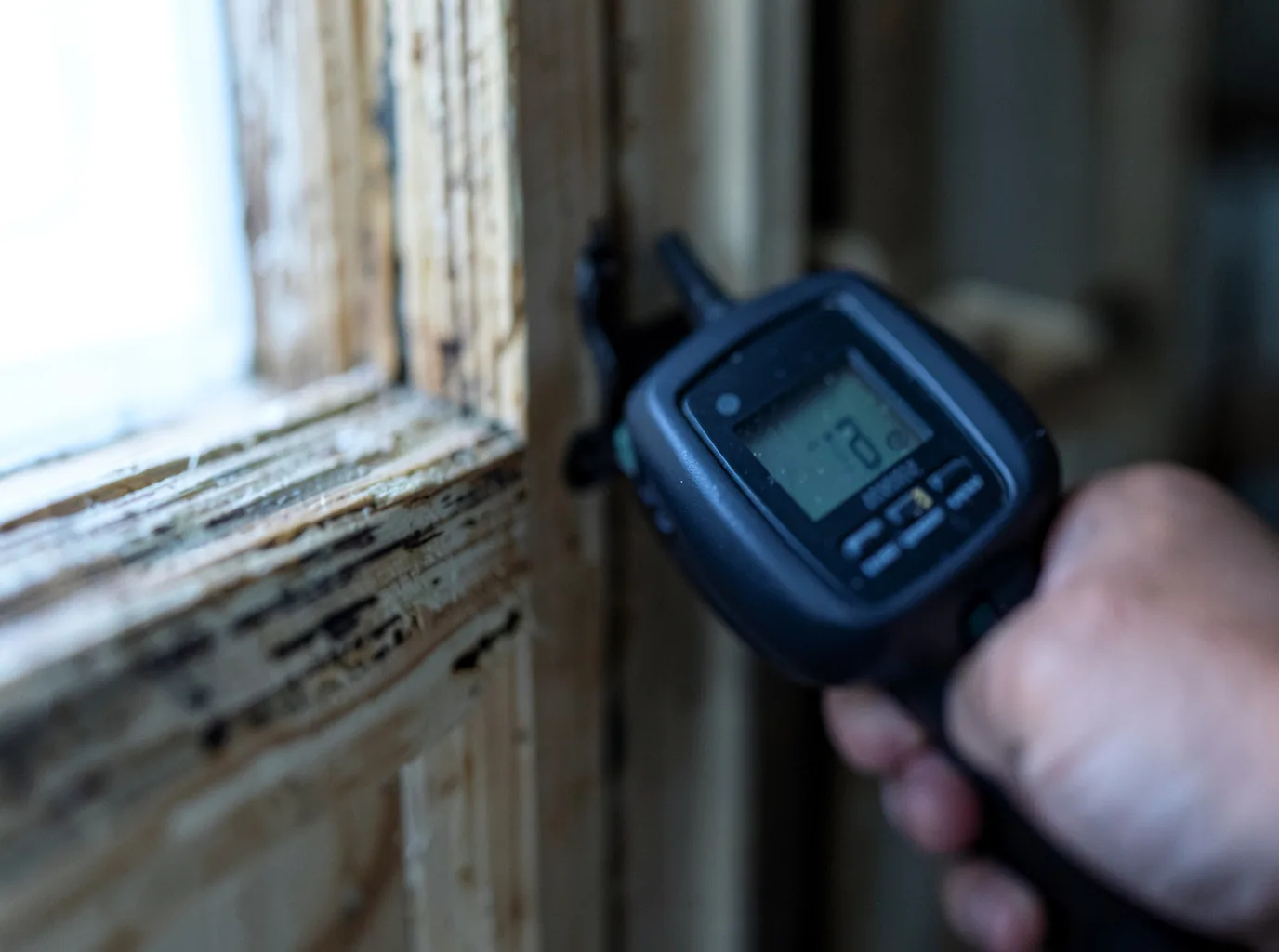 Moisture Inspection And Documentation in Stephen, MN